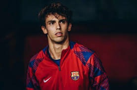 综合体育长尾关键词布局 提升页面收录效率